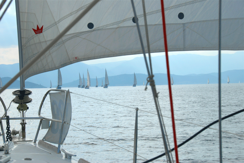 Blue Cup voiliers en regatta